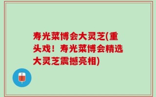 寿光菜博会大灵芝(重头戏！寿光菜博会精选大灵芝震撼亮相)