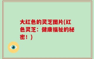 大红色的灵芝图片(红色灵芝：健康福祉的秘密！)