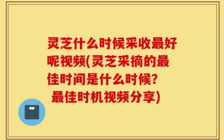 灵芝什么时候采收最好呢视频(灵芝采摘的最佳时间是什么时候？  最佳时机视频分享)