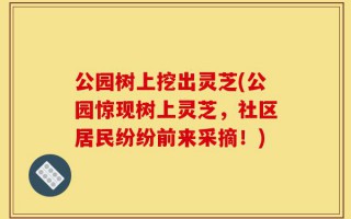 公园树上挖出灵芝(公园惊现树上灵芝，社区居民纷纷前来采摘！)