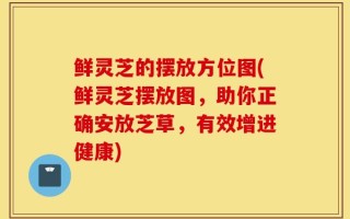 鲜灵芝的摆放方位图(鲜灵芝摆放图，助你正确安放芝草，有效增进健康)