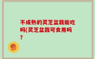 不成熟的灵芝盆栽能吃吗(灵芝盆栽可食用吗？
