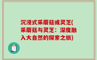 沉浸式采蘑菇或灵芝(采蘑菇与灵芝：深度融入大自然的探索之旅)