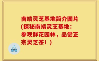 南靖灵芝基地简介图片(探秘南靖灵芝基地：参观鲜花园林，品尝正宗灵芝茶！)
