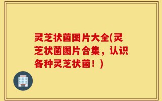 灵芝状菌图片大全(灵芝状菌图片合集，认识各种灵芝状菌！)