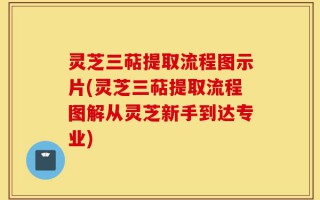 灵芝三萜提取流程图示片(灵芝三萜提取流程图解从灵芝新手到达专业)