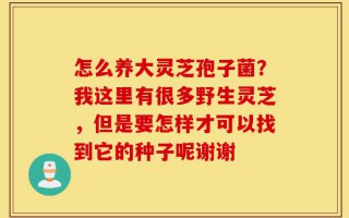 怎么养大灵芝孢子菌？我这里有很多野生灵芝，但是要怎样才可以找到它的种子呢谢谢