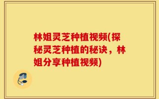 林姐灵芝种植视频(探秘灵芝种植的秘诀，林姐分享种植视频)