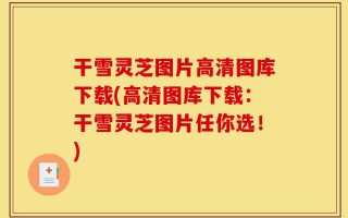 干雪灵芝图片高清图库下载(高清图库下载：干雪灵芝图片任你选！)