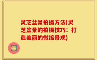 灵芝盆景拍摄方法(灵芝盆景的拍摄技巧：打造美丽的微缩景观)