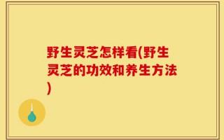 野生灵芝怎样看(野生灵芝的功效和养生方法)