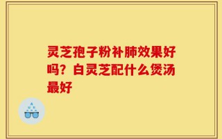 灵芝孢子粉补肺效果好吗？白灵芝配什么煲汤最好