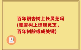 百年银杏树上长灵芝吗(银杏树上惊现灵芝，百年树龄或成关键)
