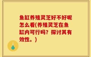 鱼缸养殖灵芝好不好呢怎么看(养殖灵芝在鱼缸内可行吗？探讨其有效性。)