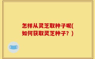 怎样从灵芝取种子呢(如何获取灵芝种子？)
