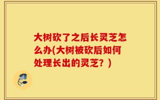 大树砍了之后长灵芝怎么办(大树被砍后如何处理长出的灵芝？)