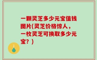 一颗灵芝多少元宝值钱图片(灵芝价格惊人，一枚灵芝可换取多少元宝？)