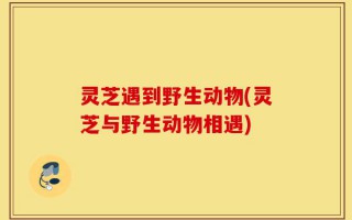 灵芝遇到野生动物(灵芝与野生动物相遇)