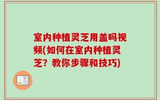 室内种植灵芝用盖吗视频(如何在室内种植灵芝？教你步骤和技巧)