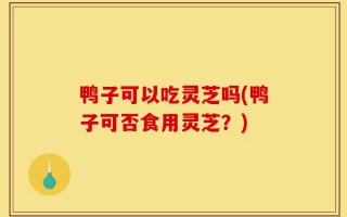 鸭子可以吃灵芝吗(鸭子可否食用灵芝？)