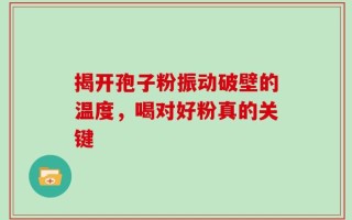 揭开孢子粉振动破壁的温度，喝对好粉真的关键