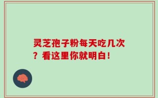 灵芝孢子粉每天吃几次？看这里你就明白！