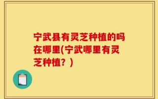 宁武县有灵芝种植的吗在哪里(宁武哪里有灵芝种植？)