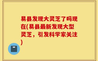 易县发现大灵芝了吗现在(易县最新发现大型灵芝，引发科学家关注)