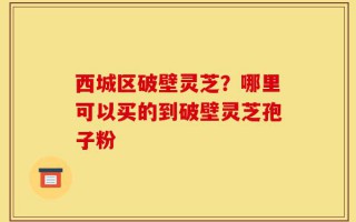 西城区破壁灵芝？哪里可以买的到破壁灵芝孢子粉