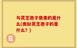 与灵芝孢子很像的是什么(类似灵芝孢子的是什么？)