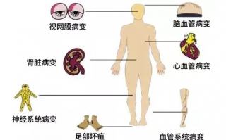 灵芝孢子粉吃多久可以提高免疫力？