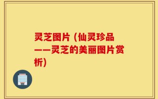 灵芝图片 (仙灵珍品——灵芝的美丽图片赏析)