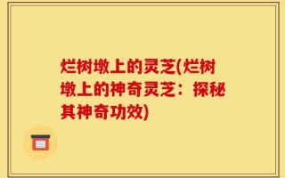 烂树墩上的灵芝(烂树墩上的神奇灵芝：探秘其神奇功效)
