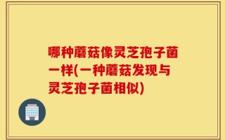 哪种蘑菇像灵芝孢子菌一样(一种蘑菇发现与灵芝孢子菌相似)