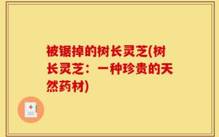 被锯掉的树长灵芝(树长灵芝：一种珍贵的天然药材)