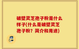 破壁灵芝孢子粉是什么样子(什么是破壁灵芝孢子粉？简介和用途)
