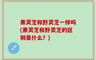 黑灵芝和野灵芝一样吗(黑灵芝和野灵芝的区别是什么？)