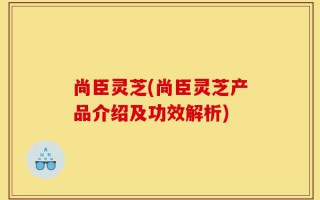 尚臣灵芝(尚臣灵芝产品介绍及功效解析)