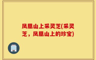 凤凰山上采灵芝(采灵芝，凤凰山上的珍宝)