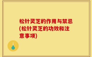 松针灵芝的作用与禁忌(松针灵芝的功效和注意事项)
