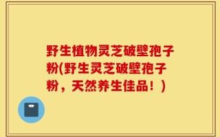 野生植物灵芝破壁孢子粉(野生灵芝破壁孢子粉，天然养生佳品！)