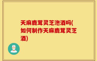 天麻鹿茸灵芝泡酒吗(如何制作天麻鹿茸灵芝酒)