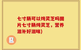 七寸肠可以炖灵芝吗图片七寸肠炖灵芝，营养滋补好滋味)