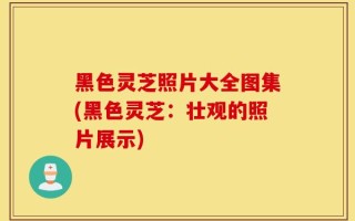 黑色灵芝照片大全图集(黑色灵芝：壮观的照片展示)
