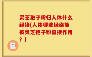 灵芝孢子粉归人体什么经络(人体哪些经络能被灵芝孢子粉直接作用？)