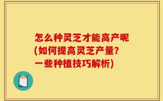 怎么种灵芝才能高产呢(如何提高灵芝产量？一些种植技巧解析)