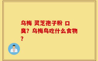 乌梅 灵芝孢子粉 口臭？乌梅鸟吃什么食物？