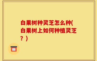 白果树种灵芝怎么种(白果树上如何种植灵芝？)