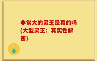 非常大的灵芝是真的吗(大型灵芝：真实性解密)