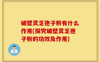 破壁灵乏孢子粉有什么作用(探究破壁灵乏孢子粉的功效及作用)